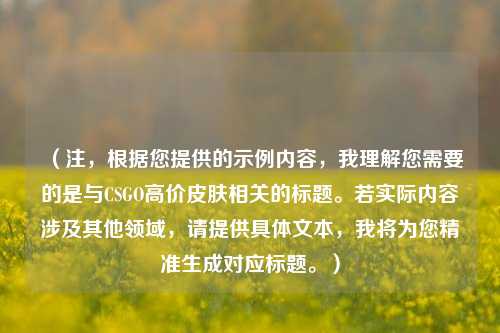 （注，根据您提供的示例内容，我理解您需要的是与CSGO高价皮肤相关的标题。若实际内容涉及其他领域，请提供具体文本，我将为您精准生成对应标题。）