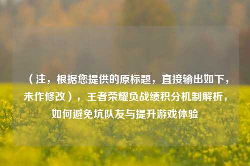 （注，根据您提供的原标题，直接输出如下，未作修改），王者荣耀负战绩积分机制解析，如何避免坑队友与提升游戏体验