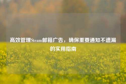 高效管理Steam邮箱广告,确保重要通知不遗漏的实用指南