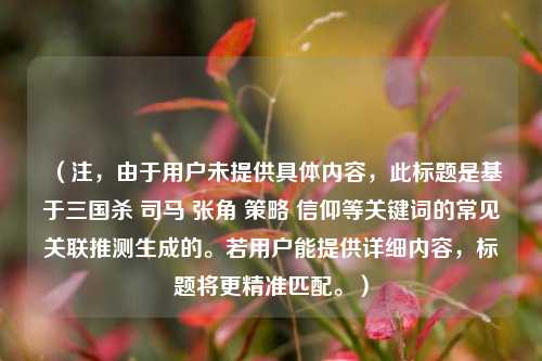 （注，由于用户未提供具体内容，此标题是基于三国杀 司马 张角 策略 信仰等关键词的常见关联推测生成的。若用户能提供详细内容，标题将更精准匹配。）