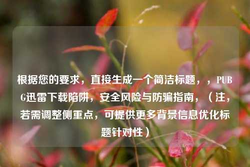 根据您的要求,直接生成一个简洁标题,,PUBG迅雷下载陷阱,安全风险与防骗指南,(注,若需调整侧重点,可提供更多背景信息优化标题针对性)