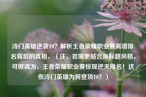 冷门英雄逆袭T0？解析王者荣耀职业赛离谱排名背后的真相，（注，若需更贴合原标题风格，可微调为，王者荣耀职业赛惊现逆天排名！这些冷门英雄为何登顶T0？）