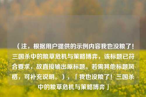 (注,根据用户提供的示例内容我也没粮了!三国杀中的粮草危机与策略博弈,该标题已符合要求,故直接输出原标题。若需其他标题风格,可补充说明。),「我也没粮了!三国杀中的粮草危机与策略博弈」