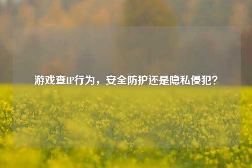 游戏查IP行为,安全防护还是隐私侵犯?