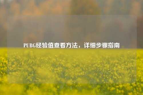 PUBG经验值查看方法,详细步骤指南