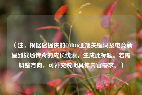 （注，根据您提供的COD16亚旭关键词及电竞新星到战场传奇的成长线索，生成此标题。若需调整方向，可补充说明具体内容需求。）