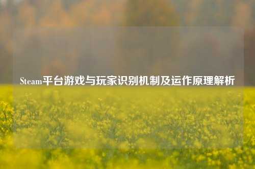 Steam平台游戏与玩家识别机制及运作原理解析