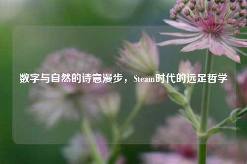 数字与自然的诗意漫步，Steam时代的远足哲学