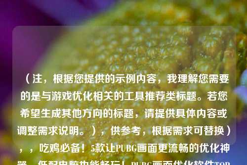 （注，根据您提供的示例内容，我理解您需要的是与游戏优化相关的工具推荐类标题。若您希望生成其他方向的标题，请提供具体内容或调整需求说明。），供参考，根据需求可替换），，吃鸡必备！5款让PUBG画面更流畅的优化神器，低配电脑也能畅玩！PUBG画面优化软件TOP5，告别卡顿！专业玩家都在用的PUBG优化工具盘点