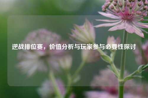 逆战排位赛，价值分析与玩家参与必要性探讨
