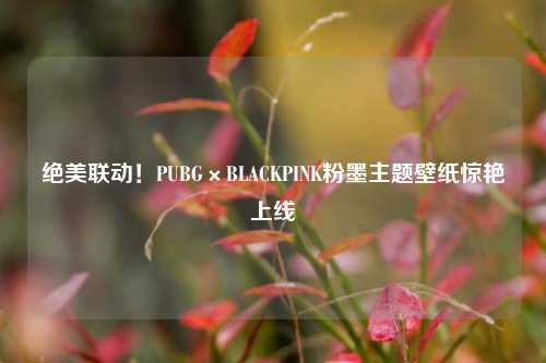 绝美联动！PUBG×BLACKPINK粉墨主题壁纸惊艳上线