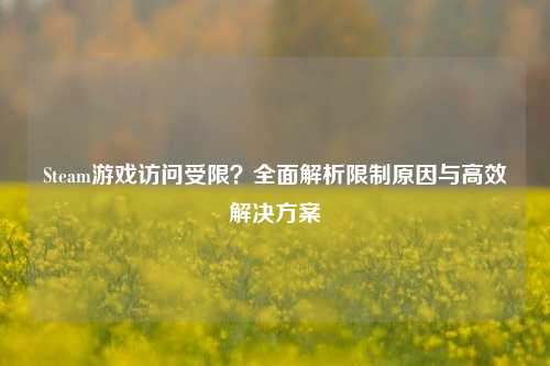 Steam游戏访问受限？全面解析限制原因与高效解决方案