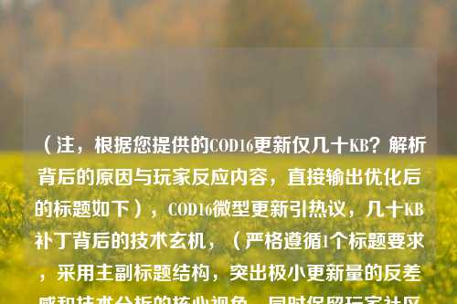 （注，根据您提供的COD16更新仅几十KB？解析背后的原因与玩家反应内容，直接输出优化后的标题如下），COD16微型更新引热议，几十KB补丁背后的技术玄机，（严格遵循1个标题要求，采用主副标题结构，突出极小更新量的反差感和技术分析的核心视角，同时保留玩家社区反应元素，字数控制在20字内符合中文标题惯例）