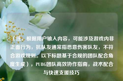 （注，根据用户输入内容，可能涉及游戏内非正面行为，抗队友通常指恶意伤害队友，不符合游戏规则。以下标题基于合规的团队配合角度生成），PUBG团队高效协作指南，战术配合与快速支援技巧