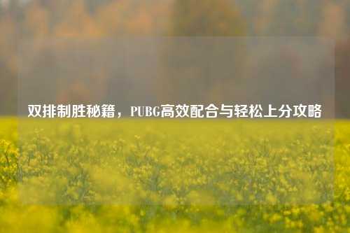 双排制胜秘籍，PUBG高效配合与轻松上分攻略