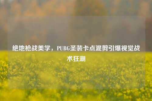 绝地枪战美学，PUBG圣装卡点混剪引爆视觉战术狂潮