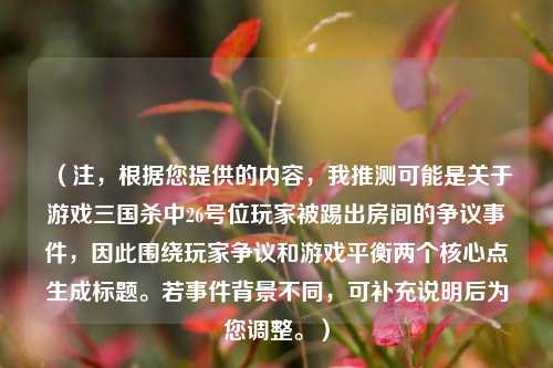 （注，根据您提供的内容，我推测可能是关于游戏三国杀中26号位玩家被踢出房间的争议事件，因此围绕玩家争议和游戏平衡两个核心点生成标题。若事件背景不同，可补充说明后为您调整。）