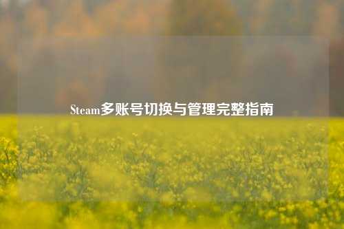 Steam多账号切换与管理完整指南