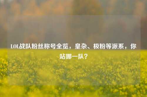 LOL战队粉丝称号全览，皇杂、极粉等派系，你站哪一队？