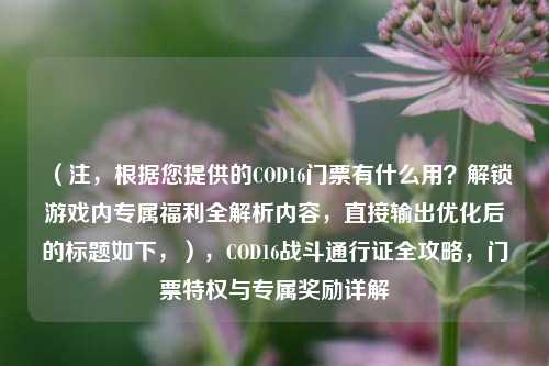 （注，根据您提供的COD16门票有什么用？解锁游戏内专属福利全解析内容，直接输出优化后的标题如下，），COD16战斗通行证全攻略，门票特权与专属奖励详解