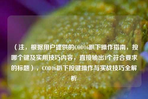 （注，根据用户提供的COD16趴下操作指南，按哪个键及实用技巧内容，直接输出1个符合要求的标题），COD16趴下按键操作与实战技巧全解析