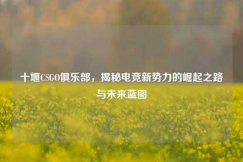 十堰CSGO俱乐部，揭秘电竞新势力的崛起之路与未来蓝图