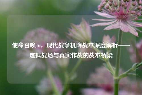 使命召唤16，现代战争机降战术深度解析——虚拟战场与真实作战的战术桥梁