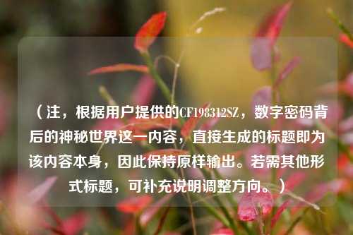 （注，根据用户提供的CF198312SZ，数字密码背后的神秘世界这一内容，直接生成的标题即为该内容本身，因此保持原样输出。若需其他形式标题，可补充说明调整方向。）