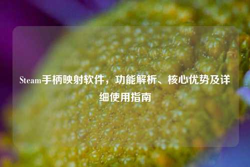 Steam手柄映射软件,功能解析、核心优势及详细使用指南