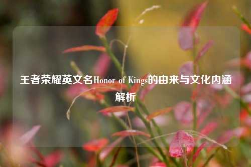 王者荣耀英文名Honor of Kings的由来与文化内涵解析