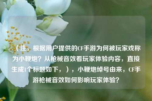 （注，根据用户提供的CF手游为何被玩家戏称为小鞭炮？从枪械音效看玩家体验内容，直接生成1个标题如下，），小鞭炮绰号由来，CF手游枪械音效如何影响玩家体验？