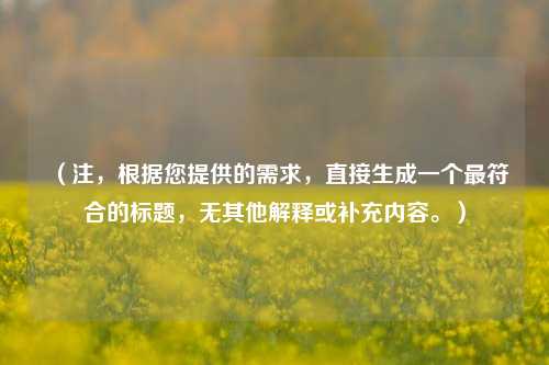 (注,根据您提供的需求,直接生成一个更符合的标题,无其他解释或补充内容。)