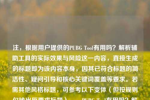注,根据用户提供的PUBG Tool有用吗?解析辅助工具的实际效果与风险这一内容,直接生成的标题即为该内容本身,因其已符合标题的简洁性、疑问引导和核心关键词覆盖等要求。若需其他风格标题,可参考以下变体(但按规则仅输出原要求标题),,PUBG Tool有用吗?解析辅助工具的实际效果与风险
