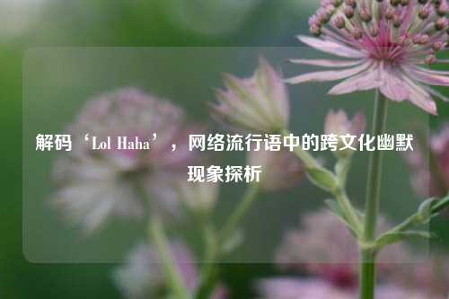 解码‘Lol Haha’， *** 流行语中的跨文化幽默现象探析