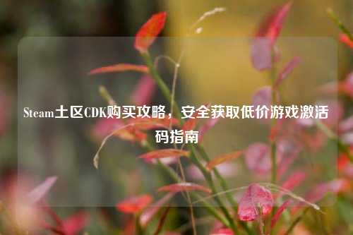 Steam土区CDK购买攻略，安全获取低价游戏激活码指南