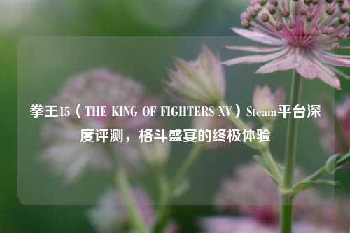 拳王15(THE KING OF FIGHTERS XV)Steam平台深度评测,格斗盛宴的终极体验