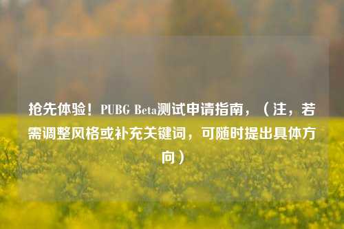 抢先体验!PUBG Beta测试申请指南,(注,若需调整风格或补充关键词,可随时提出具体方向)