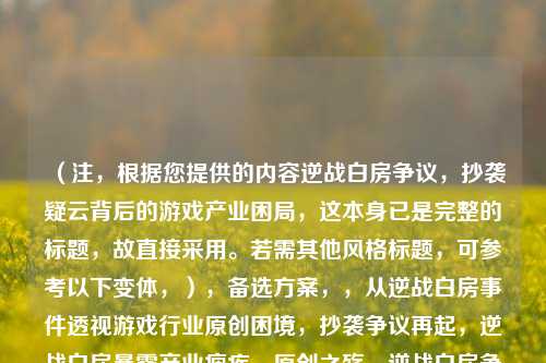 (注,根据您提供的内容逆战白房争议,抄袭疑云背后的游戏产业困局,这本身已是完整的标题,故直接采用。若需其他风格标题,可参考以下变体,),备选方案,,从逆战白房事件透视游戏行业原创困境,抄袭争议再起,逆战白房暴露产业痼疾,原创之殇,逆战白房争议折射的游戏业困局