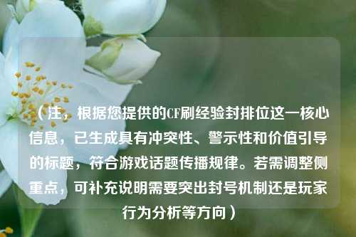 (注,根据您提供的CF刷经验封排位这一核心信息,已生成具有冲突性、警示性和价值引导的标题,符合游戏话题传播规律。若需调整侧重点,可补充说明需要突出封号机制还是玩家行为分析等方向)