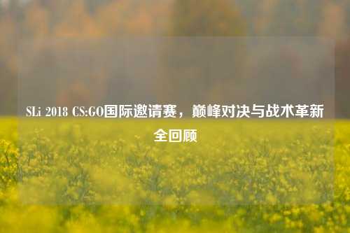 SLi 2018 CS:GO国际邀请赛,巅峰对决与战术革新全回顾