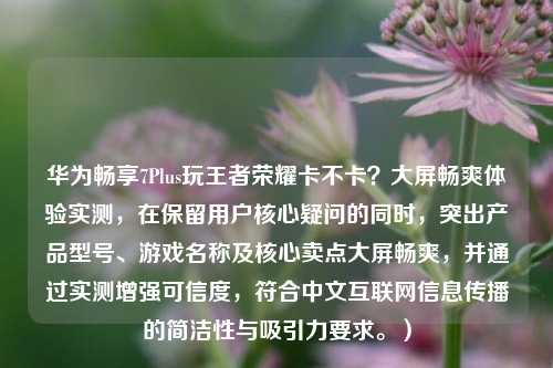 华为畅享7Plus玩王者荣耀卡不卡?大屏畅爽体验实测,在保留用户核心疑问的同时,突出产品型号、游戏名称及核心卖点大屏畅爽,并通过实测增强可信度,符合中文互联网信息传播的简洁性与吸引力要求。)