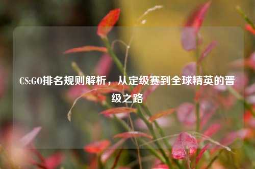 CS:GO排名规则解析,从定级赛到全球精英的晋级之路