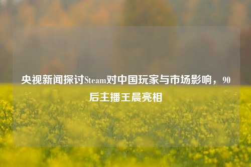 央视新闻探讨Steam对中国玩家与市场影响,90后主播王晨亮相