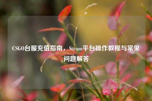CSGO台服充值指南,Steam平台操作教程与常见问题解答