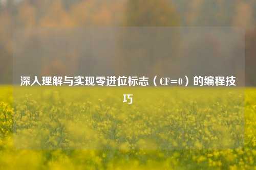 深入理解与实现零进位标志(CF=0)的编程技巧