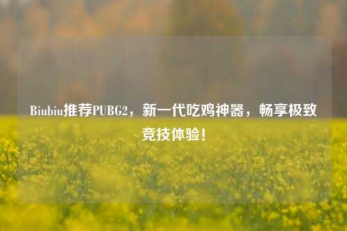 Biubiu推荐PUBG2,新一代吃鸡神器,畅享极致竞技体验!