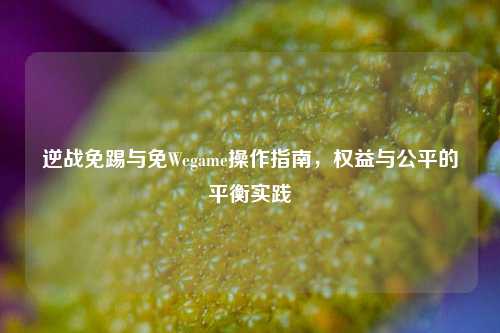 逆战免踢与免Wegame操作指南,权益与公平的平衡实践