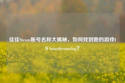 佳佳Steam账号名称大揭秘,如何找到她的游戏ID lotusdreamvlog?