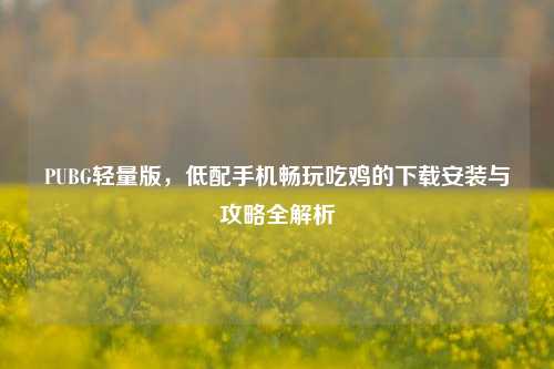 PUBG轻量版,低配手机畅玩吃鸡的下载安装与攻略全解析
