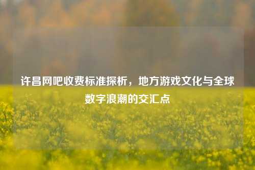 许昌网吧收费标准探析,地方游戏文化与全球数字浪潮的交汇点